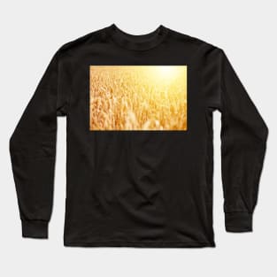 Field of ripe wheat against golden sunrise Long Sleeve T-Shirt